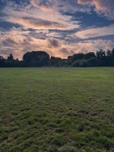 Open grass in Sheldon Country Park under a late-evening sky