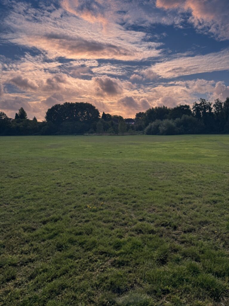Open grass in Sheldon Country Park under a late-evening sky
